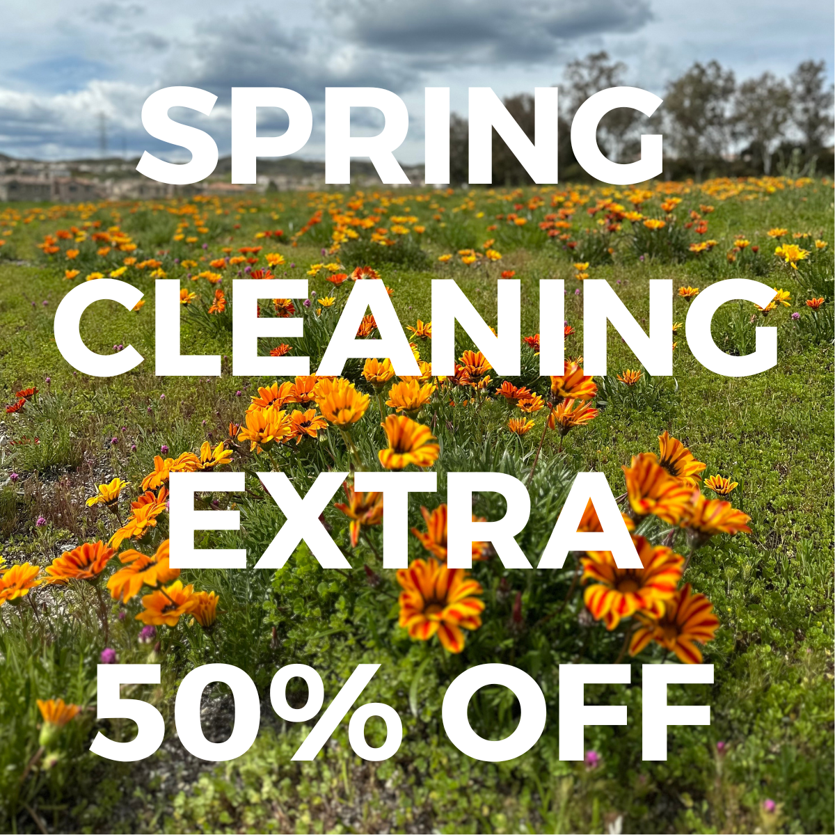 A field of flowers covered by the text "SPRING CLEANING EXTRA 50% OFF"