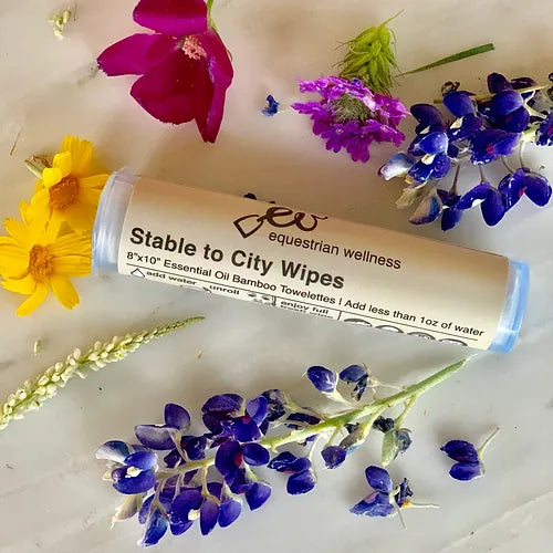 Equestrian Wellness &#39;Stable to City&#39; Wipes - 10 ct.