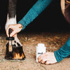 The Infused Equestrian 'Pedi.' Hoof Conditioner