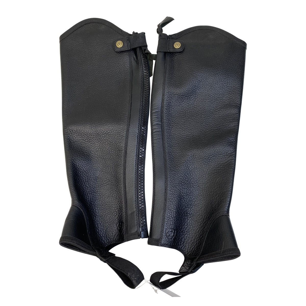 Ariat Concord Half Chaps in Black - Women's Large
