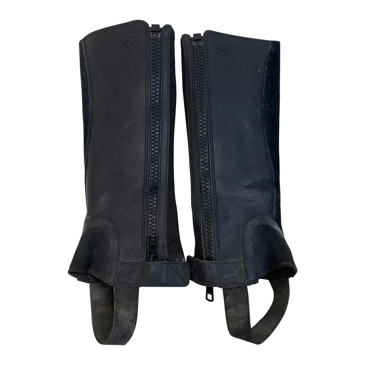 Ariat Scout Half Chaps in Black