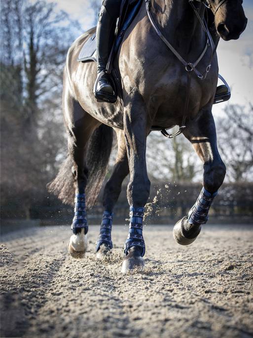 LeMieux Ultra Mesh Snug Front Boots in Navy