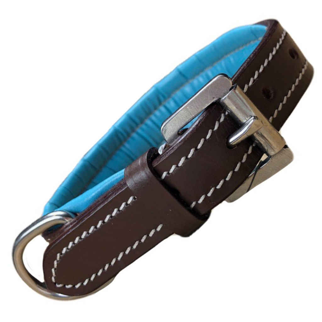 Fancy Stitched Dog Collar in Havana/Turquoise - 12"