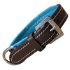 Fancy Stitched Dog Collar in Havana/Turquoise - 10"